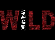 雷火电竞-雷霆vs上海，引爆世界排名争夺战的篮球文化对轰