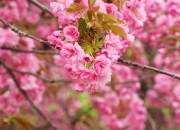 雷火电竞主播-旷世一掷，杰伦·格林绝命三分终结鏖战，老鹰惊险啄伤马刺