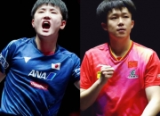 雷火电竞合作-包含中国乒乓球队强势比利时乒乓球队，张本智和爆发神勇的词条