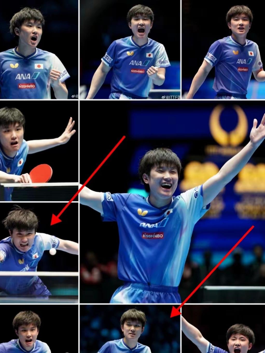 包含中国乒乓球队强势比利时乒乓球队，张本智和爆发神勇的词条