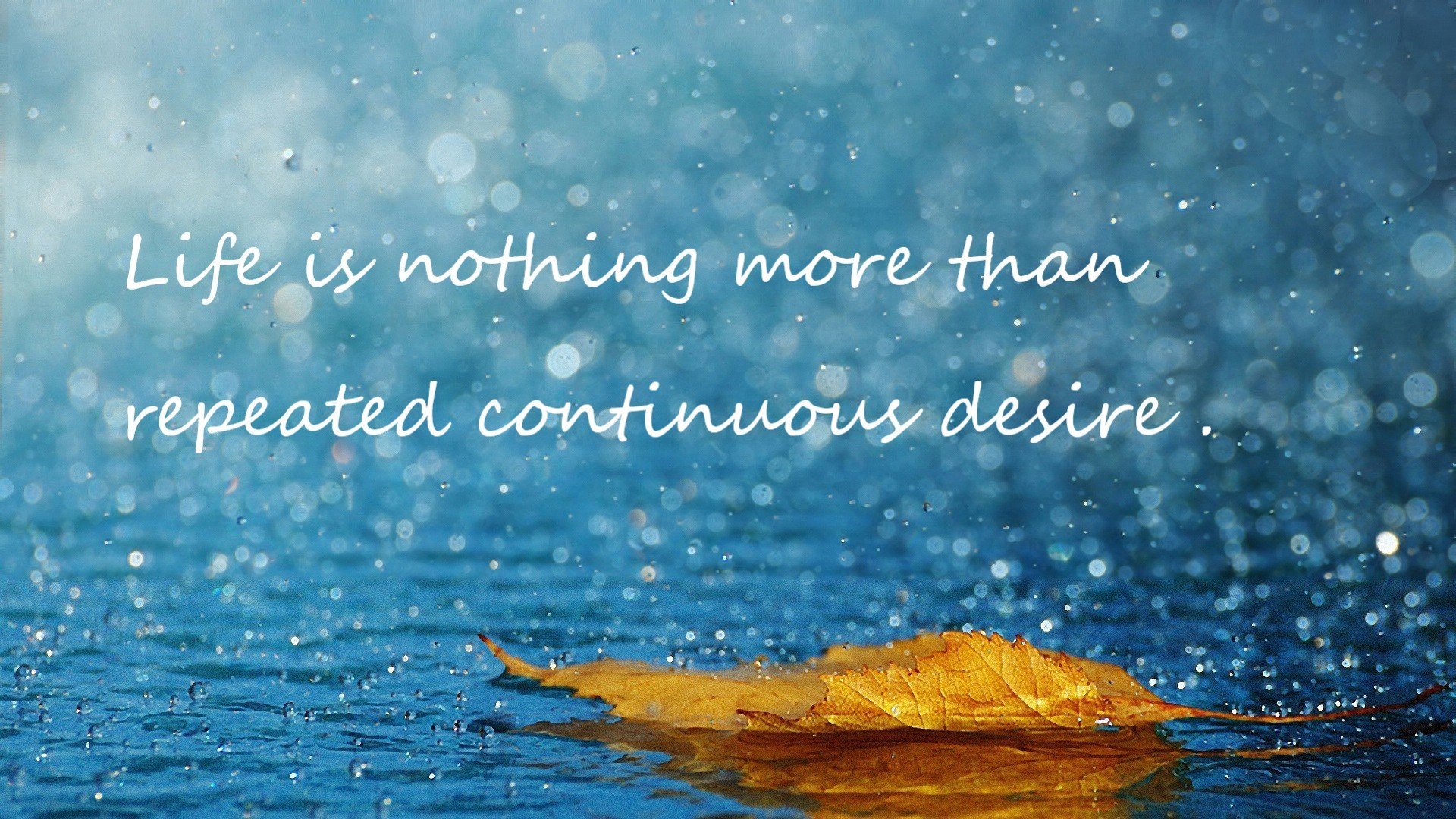 当玻利维亚遇上几内亚，时空裂缝里走出的哈兰德让评分系统爆表