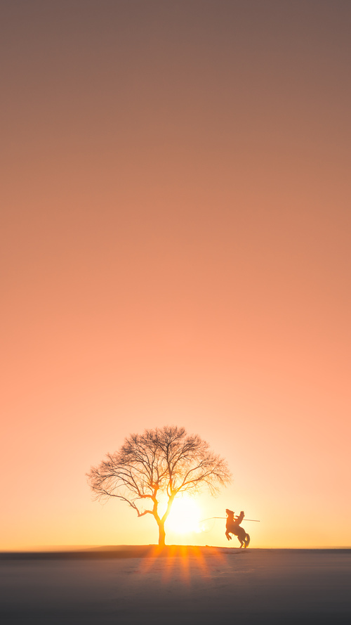 绝境怒放，湖人硬仗击溃鹈鹕，拉梅洛化身关键先生主宰生死时刻